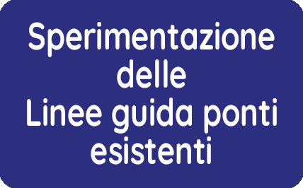 sperimentazione delle linee guida