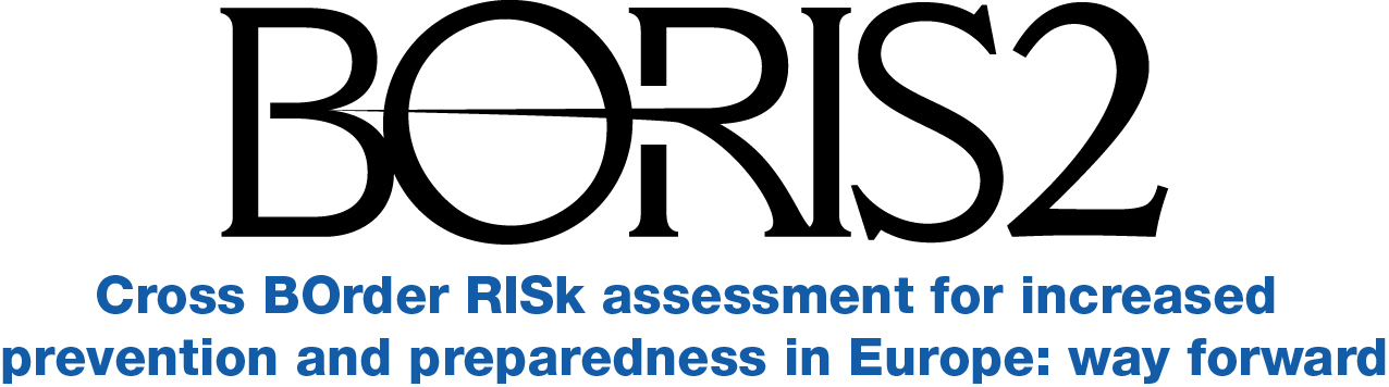 Logo Boris project 2