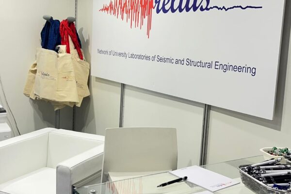 reluis_wcee_2024_02 reluis_wcee_2024_02