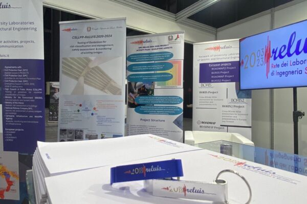 reluis_wcee_2024_04 reluis_wcee_2024_04