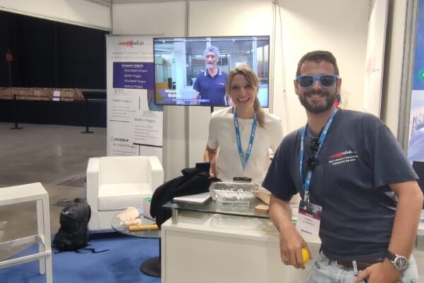 reluis_wcee_2024_09 reluis_wcee_2024_09