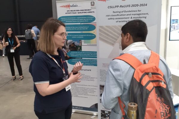 reluis_wcee_2024_14 reluis_wcee_2024_14