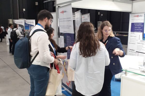 reluis_wcee_2024_17 reluis_wcee_2024_17