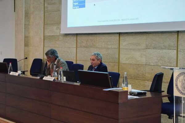 Convegno_DPC-ReLUIS 2024-2026_04