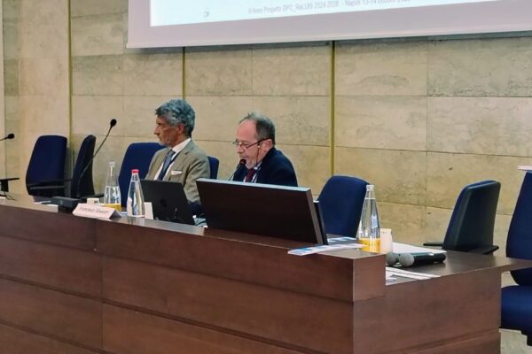 Convegno_DPC-ReLUIS 2024-2026_05