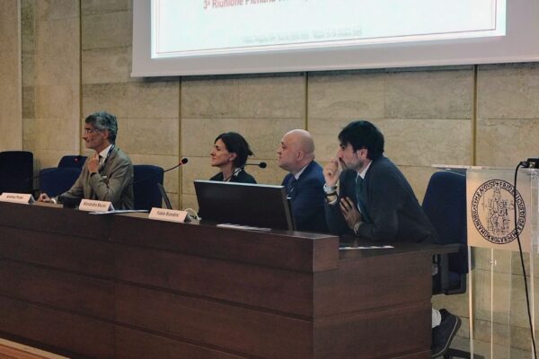 Convegno_DPC-ReLUIS 2024-2026_33