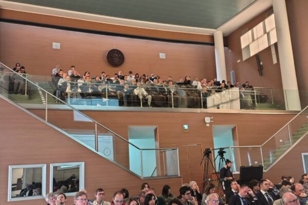 Convegno_DPC-ReLUIS 2024-2026_34