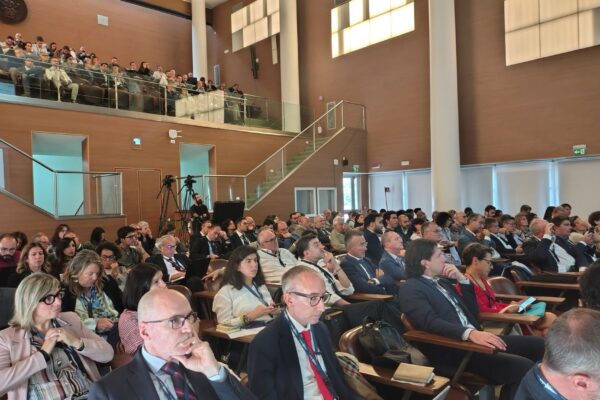 Convegno_DPC-ReLUIS 2024-2026_35