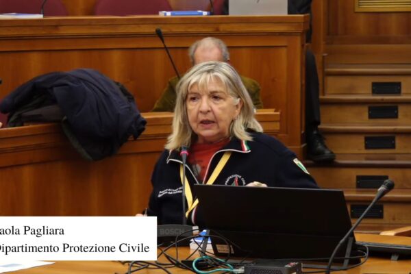 Volume_Contributi_ReLUIS_03