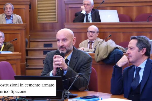 Volume_Contributi_ReLUIS_06