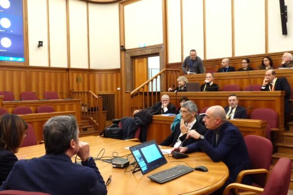 Volume_Contributi_ReLUIS_18